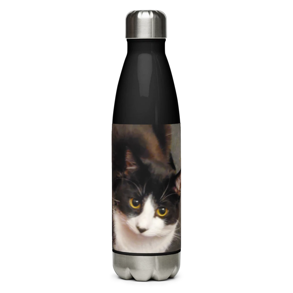 Stainless Steel Water Bottle