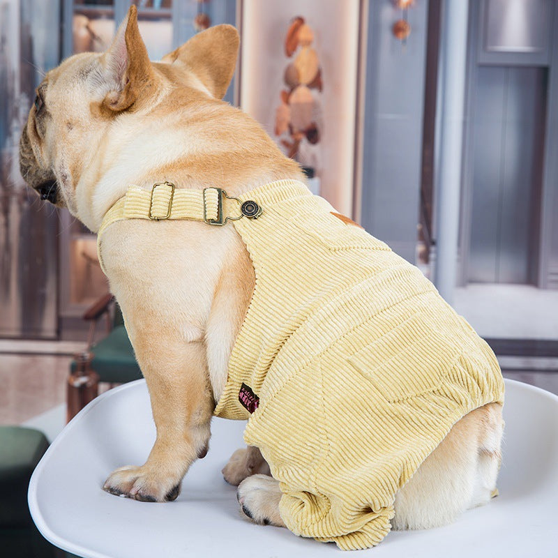 Fashionable Spring and Summer Pet Clothing Collection