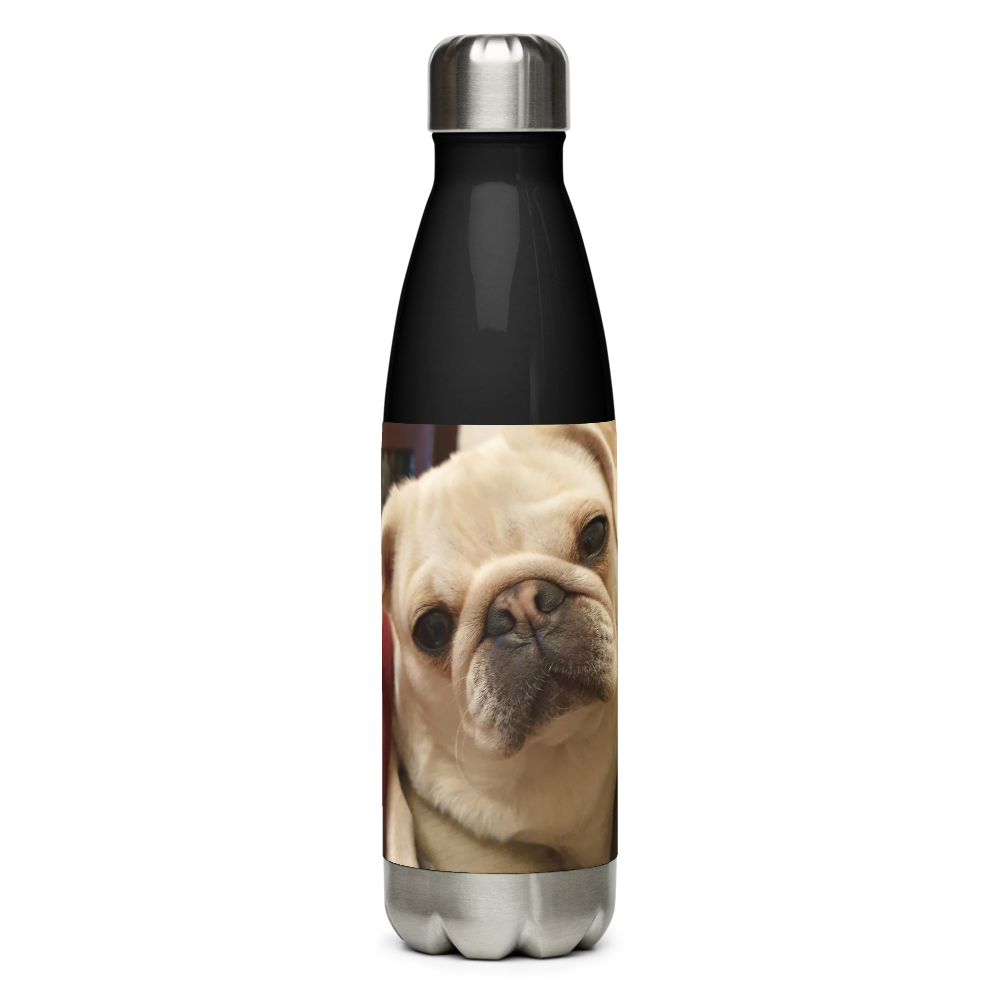Stainless Steel Water Bottle