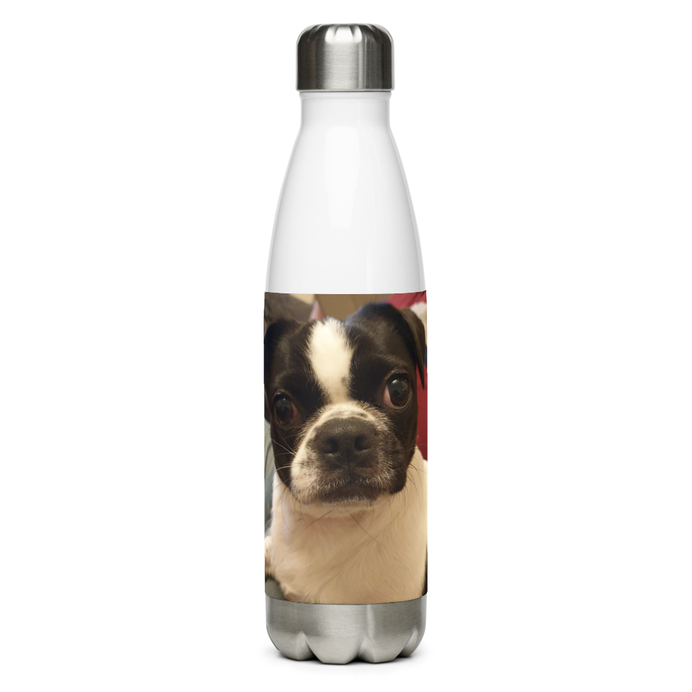 Stainless Steel Water Bottle