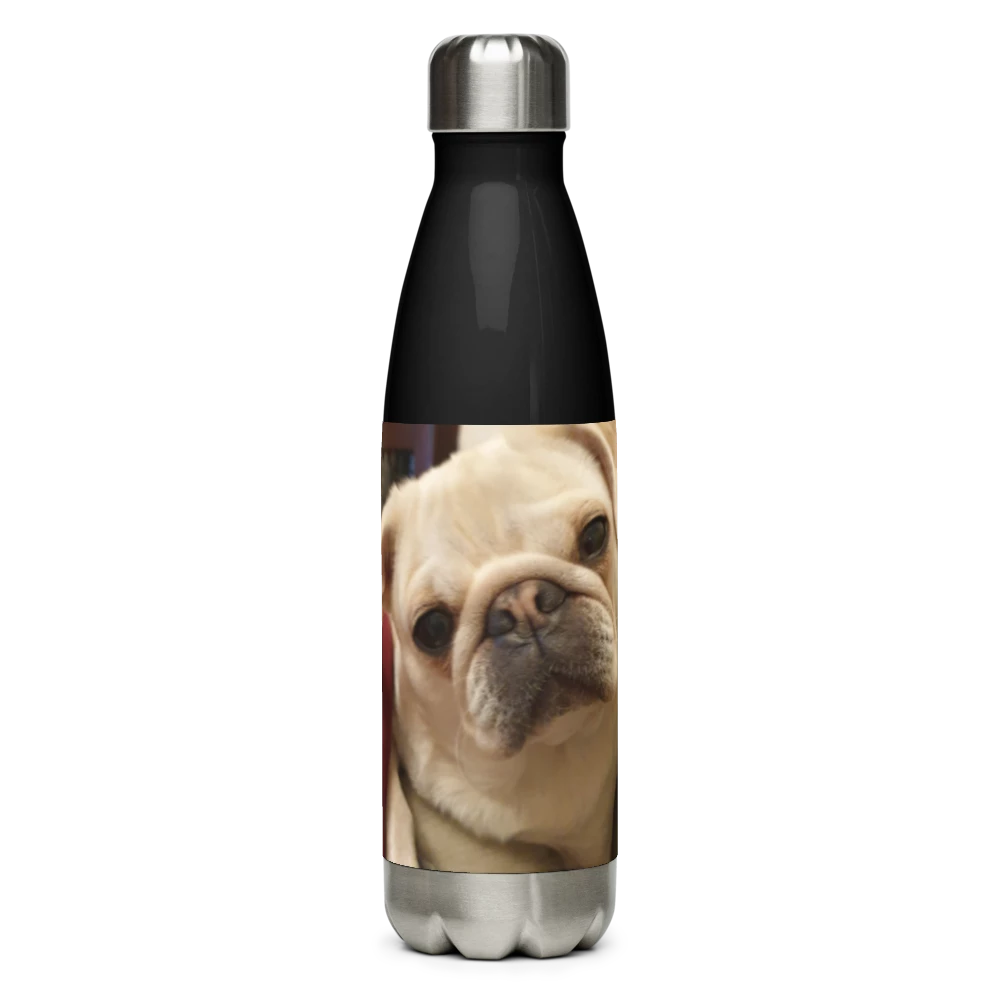 Stainless Steel Water Bottle