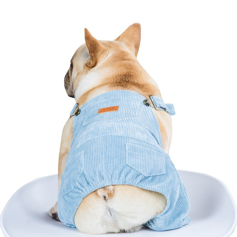 Fashionable Spring and Summer Pet Clothing Collection